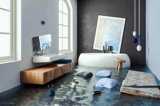 Best Emergency water damage restoration  in Thompson, ND