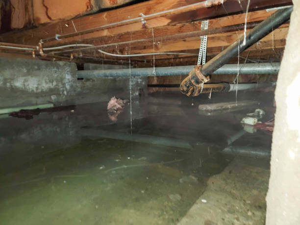 Professional Water damage restoration in ND