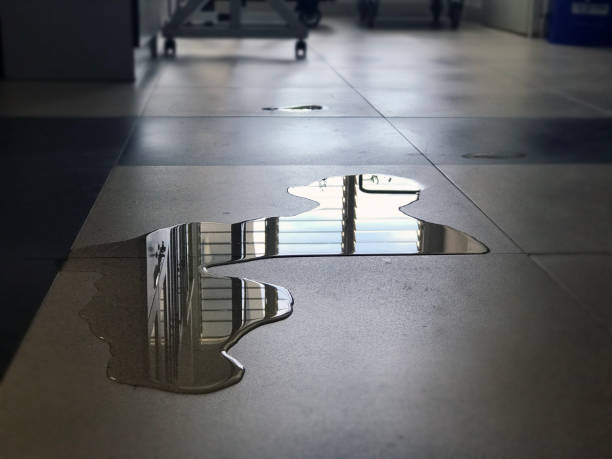 Best Professional water damage repair  in Thompson, ND