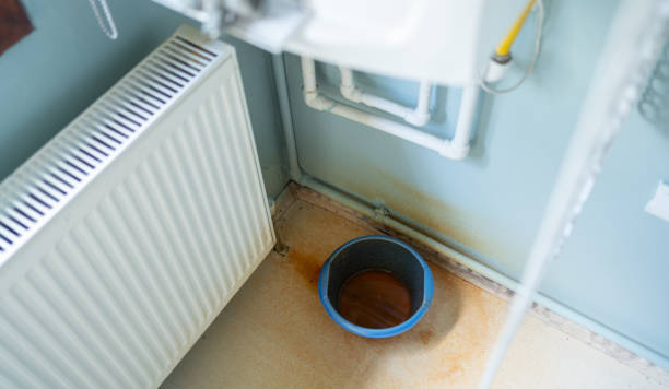 Best Carpet water damage restoration  in Thompson, ND