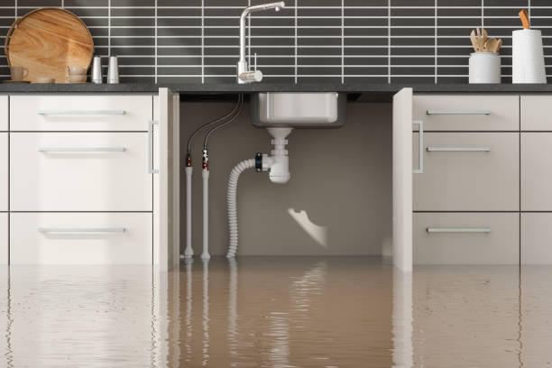 Best Water damage restoration specialists  in Thompson, ND